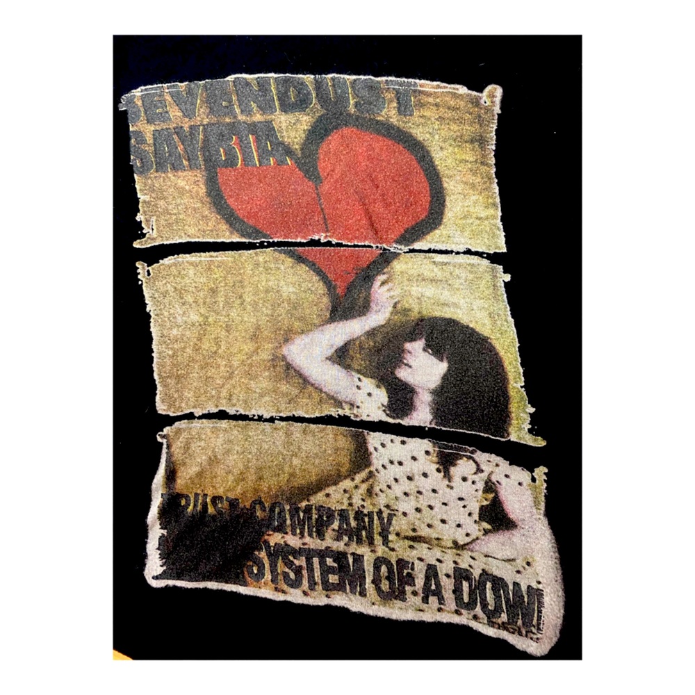 Vintage System of a Down top
